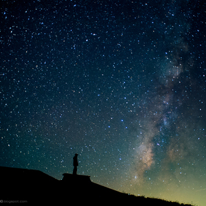 在线免费成人ar视频
